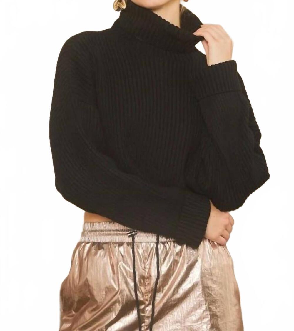 NEW IDEM DITTO turtle neck loose fit crop sweater in black